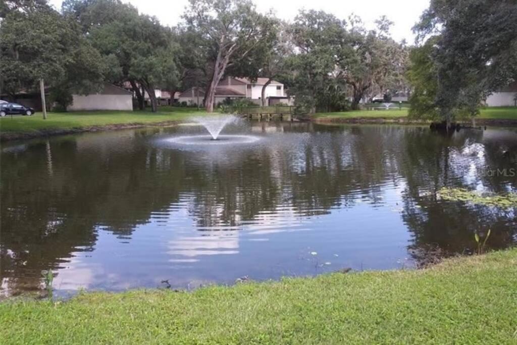 Ferienwohnung Cozy 3 Bed 2.5 Bath Located Near Busch Gardens Tampa Exterior foto